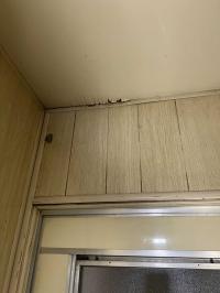 1969 LAKEWOOD GOLD METAL Mobile Home