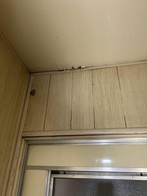 1969 LAKEWOOD GOLD METAL Mobile Home