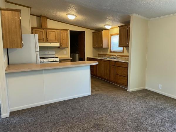 1994 Skyline Mobile Home