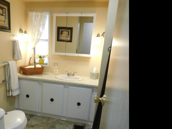 1979 SKYL Mobile Home For Sale