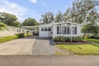 1994 PALM   Home