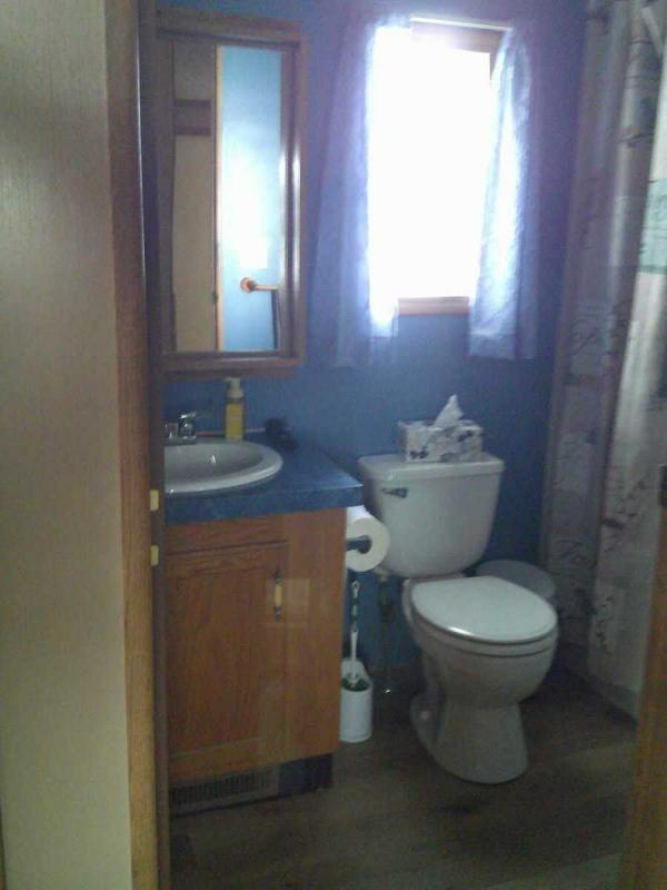 1996 Skyline Spruce Ridge Su Mobile Home