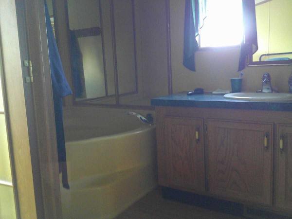 1996 Skyline Spruce Ridge Su Mobile Home