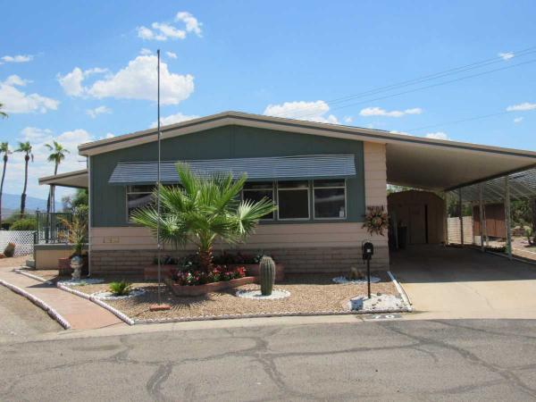 1979 Skyline Mobile Home For Sale
