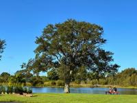 2000 HS Jacobsen Manufactured Home