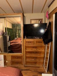 1985 Skyline Manufactured Home