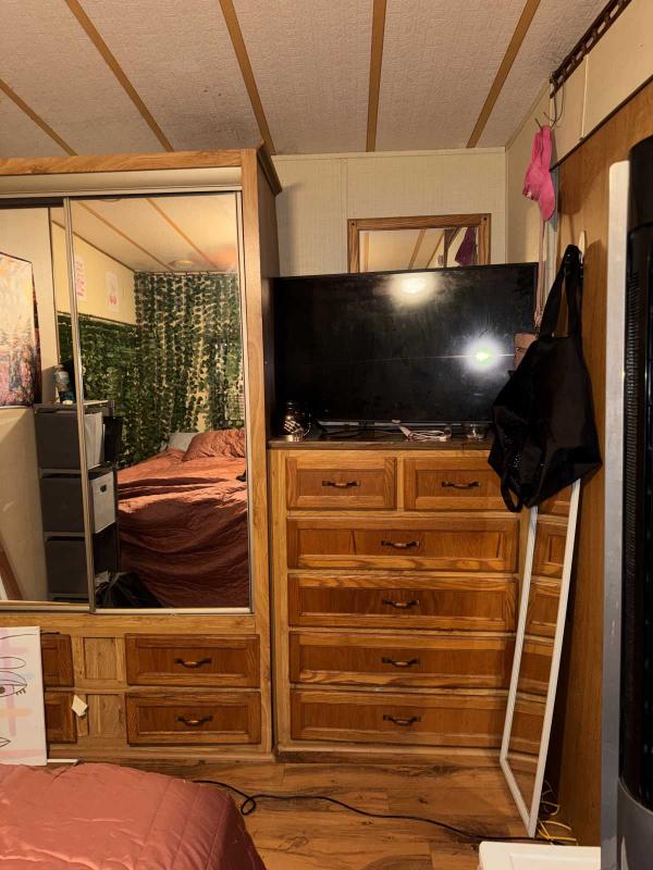 1985 Skyline Manufactured Home