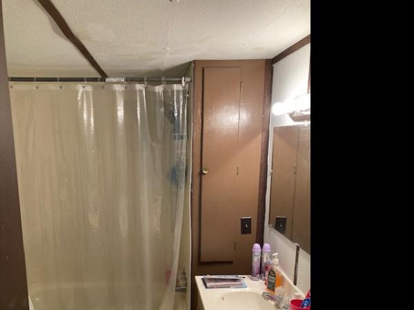 1974 Mobile Home