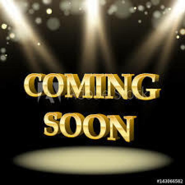2008 Horton Homes Inc Mobile Home For Sale