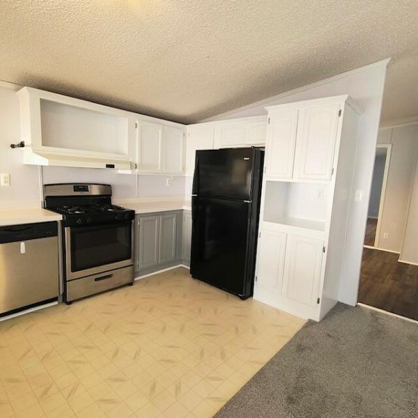 1995 SKYLINE Mobile Home