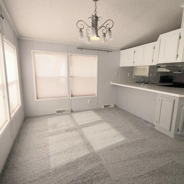 1995 SKYLINE Mobile Home