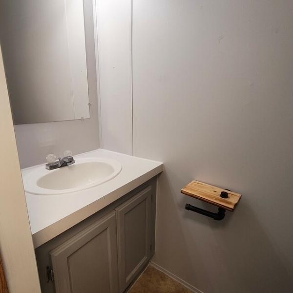 1995 SKYLINE Mobile Home