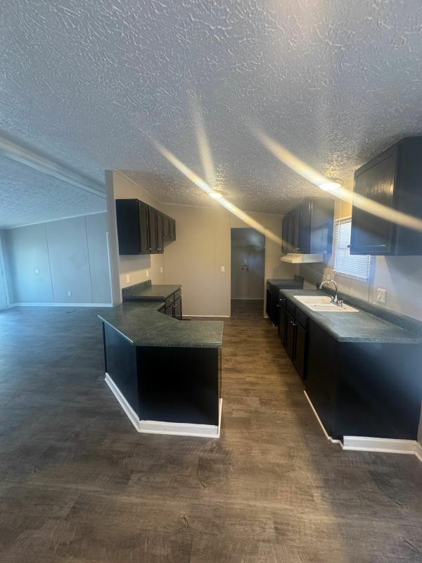 1999 Horton Mirage Mobile Home