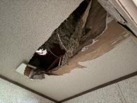 1994 Magnolia Mobile Home