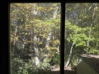 Zimmer Pegasus Mobile Home