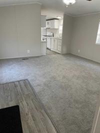 1998 Skyline Manufactured Home