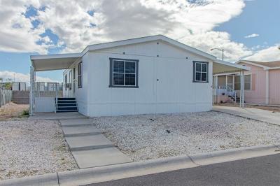 Mobile Home at 2485 W. Wigwam Ave. Las Vegas, NV 89123