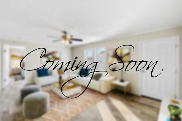 2020 Champion Mobile Home For Sale