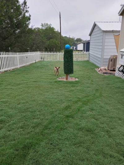 Photo 9 of 25 of home located at 306 County Road 209C Lot 3 Briggs, TX 78608