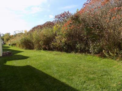 Photo 2 of 49 of home located at 13629 Heritage St Carleton, MI 48117