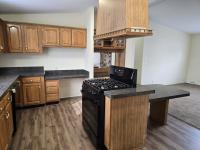 1993 Skyline Mobile Home