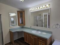 1993 Skyline Mobile Home