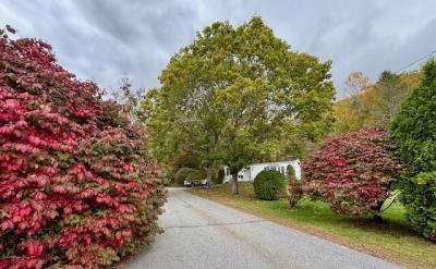 Photo 2 of 18 of home located at 44 Swan Lake Trail Killingworth, CT 06419