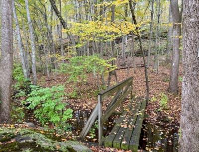 Photo 4 of 18 of home located at 44 Swan Lake Trail Killingworth, CT 06419