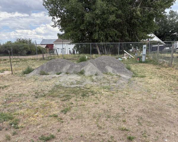 Mobile Home
