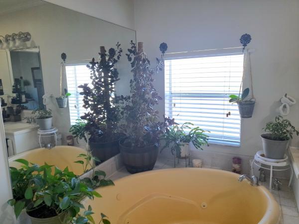 2004 Palm Harbor unknown Mobile Home