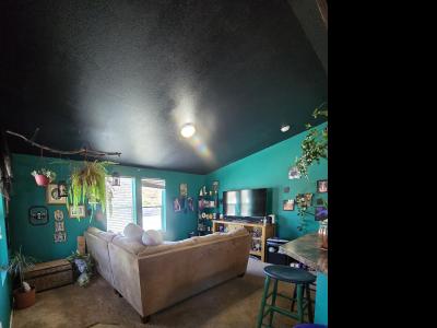 Photo 3 of 11 of home located at 687 Royal Coachman Blvd #0041 Dillon, CO 80435