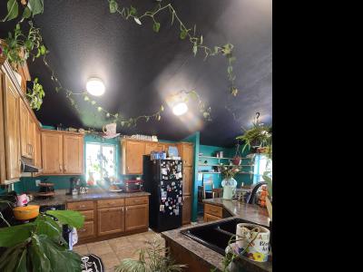 Photo 5 of 11 of home located at 687 Royal Coachman Blvd #0041 Dillon, CO 80435