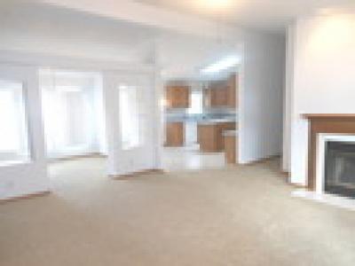Photo 4 of 7 of home located at 65 Crocus Ln Matteson, IL 60443