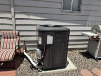 1981 Olym Manufactured Home