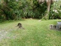 1988 Barrington Mobile Home