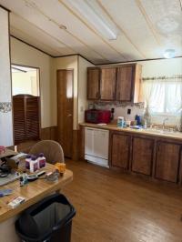 1982 Paramount Mobile Home