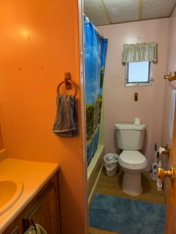 1982 Paramount Mobile Home For Sale