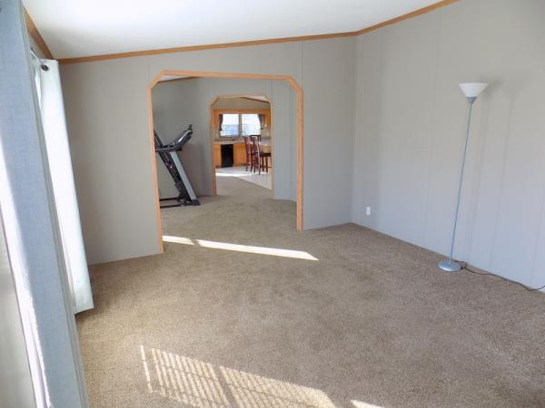 1995 Patriot Manufactured Home