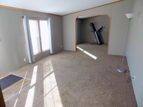 1995 Patriot Manufactured Home