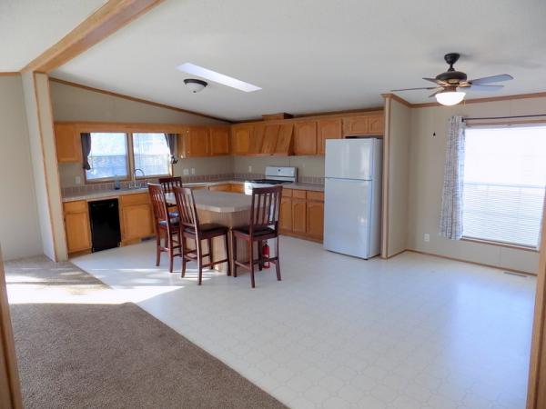 1995 Patriot Manufactured Home