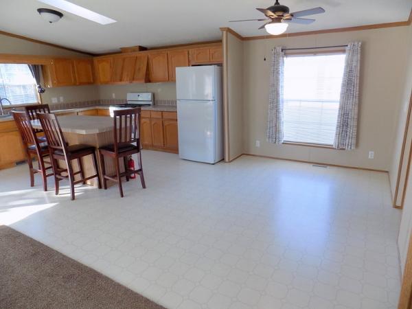 1995 Patriot Manufactured Home