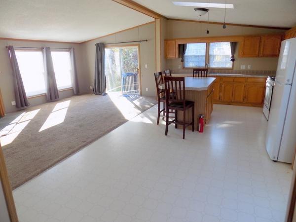 1995 Patriot Manufactured Home