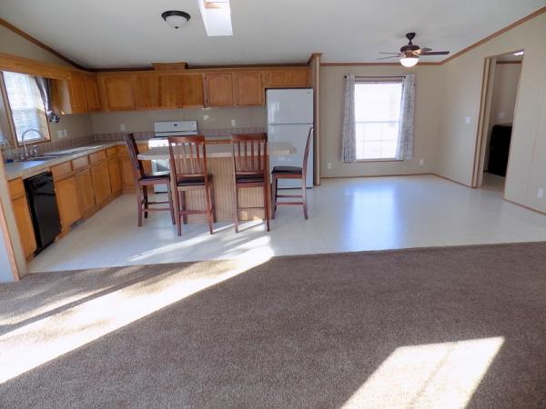 1995 Patriot Manufactured Home