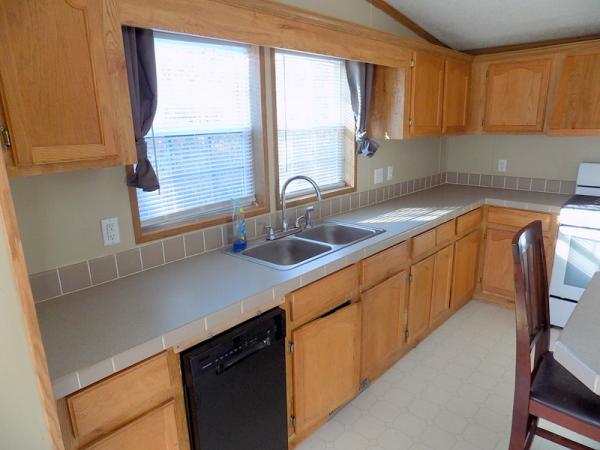 1995 Patriot Manufactured Home