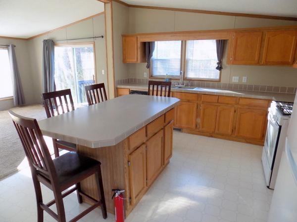 1995 Patriot Manufactured Home