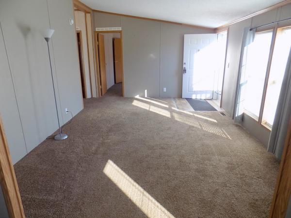 1995 Patriot Manufactured Home