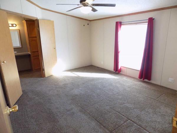 1995 Patriot Manufactured Home