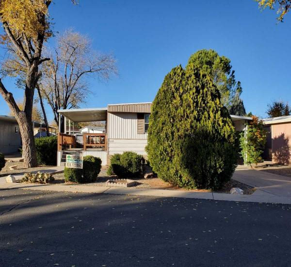 1981 Skyline Mobile Home For Sale