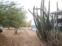 1976 Marlette Manufactured Home