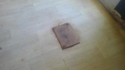 Photo 5 of 26 of home located at 106 Spring Brook Road Lot #S106 Leesburg, FL 34748